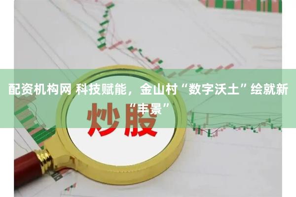 配资机构网 科技赋能，金山村“数字沃土”绘就新“丰景”